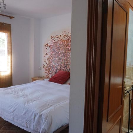 Casa Colores Tenerife Guesthouse Candelaria Eksteriør bilde
